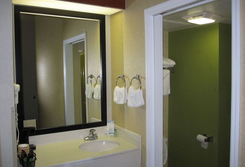 Standaardkamer met 2 Tweepersoonsbedden, Sleep Inn Murfreesboro