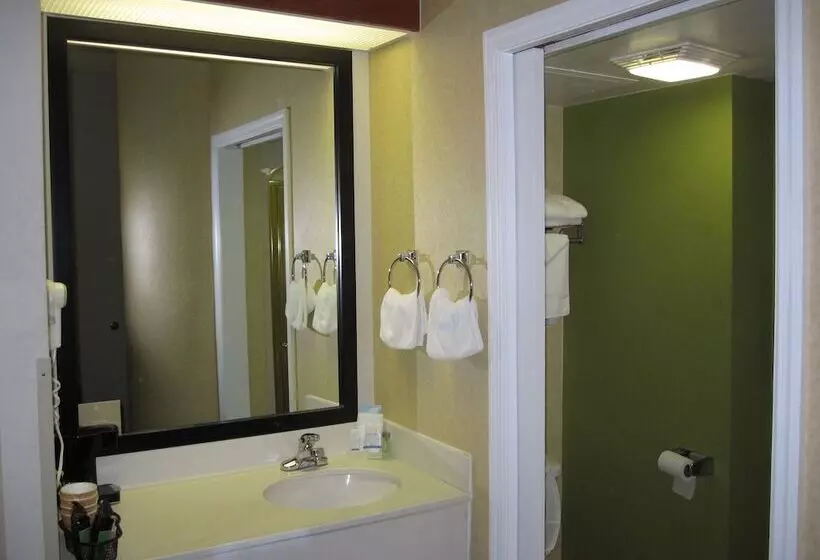 ２ダブルベッドのスタンダードルーム, Sleep Inn Murfreesboro