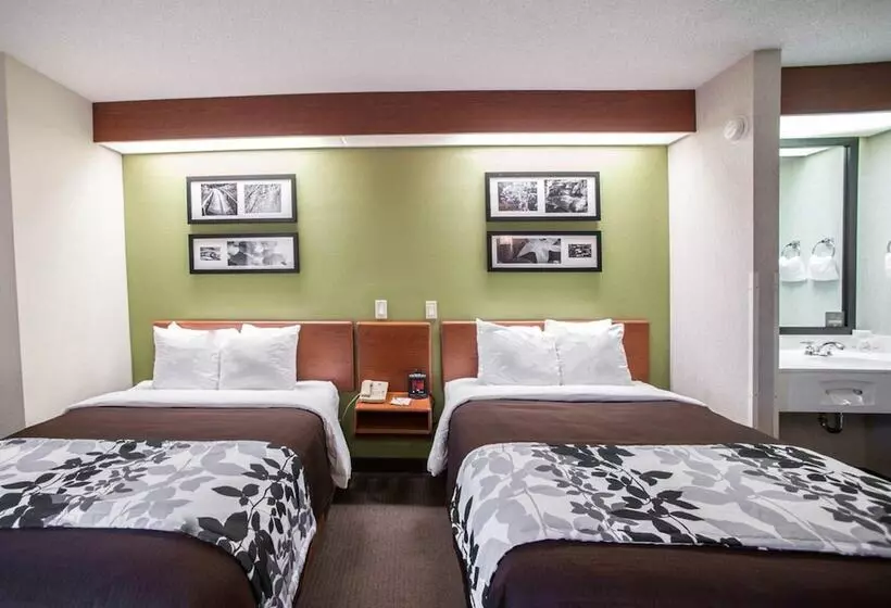 ２ダブルベッドのスタンダードルーム, Sleep Inn Murfreesboro