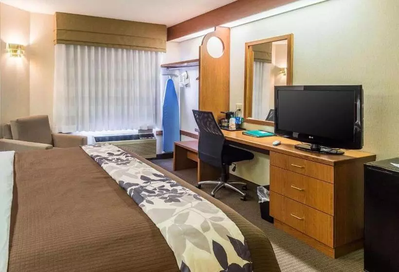 キングサイズベッドのスタンダードルーム, Sleep Inn & Suites Bay View Acme   Traverse City