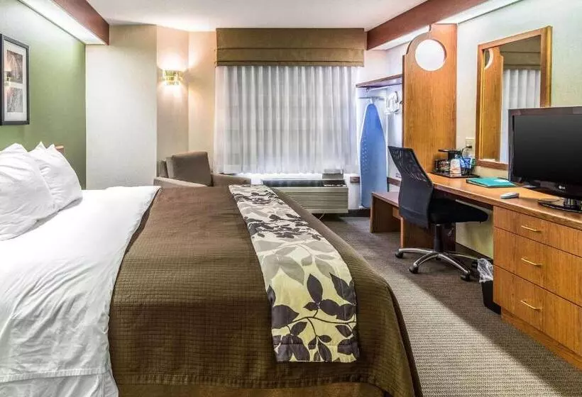 キングサイズベッドのスタンダードルーム, Sleep Inn & Suites Bay View Acme   Traverse City