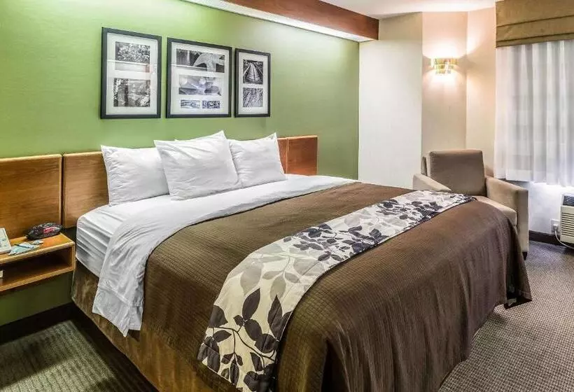 キングサイズベッドのスタンダードルーム, Sleep Inn & Suites Bay View Acme   Traverse City