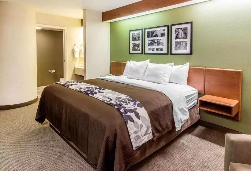キングサイズベッドのスタンダードルーム, Sleep Inn & Suites Bay View Acme   Traverse City