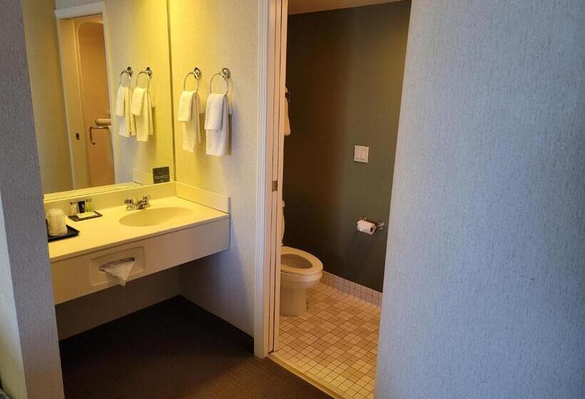 스탠다드 룸 킹사이즈 침대, Sleep Inn & Suites Bay View Acme   Traverse City