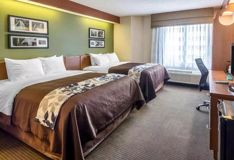 スタンダードルーム, Sleep Inn & Suites Bay View Acme   Traverse City