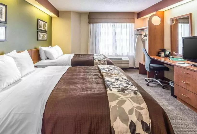 スタンダードルーム, Sleep Inn & Suites Bay View Acme   Traverse City