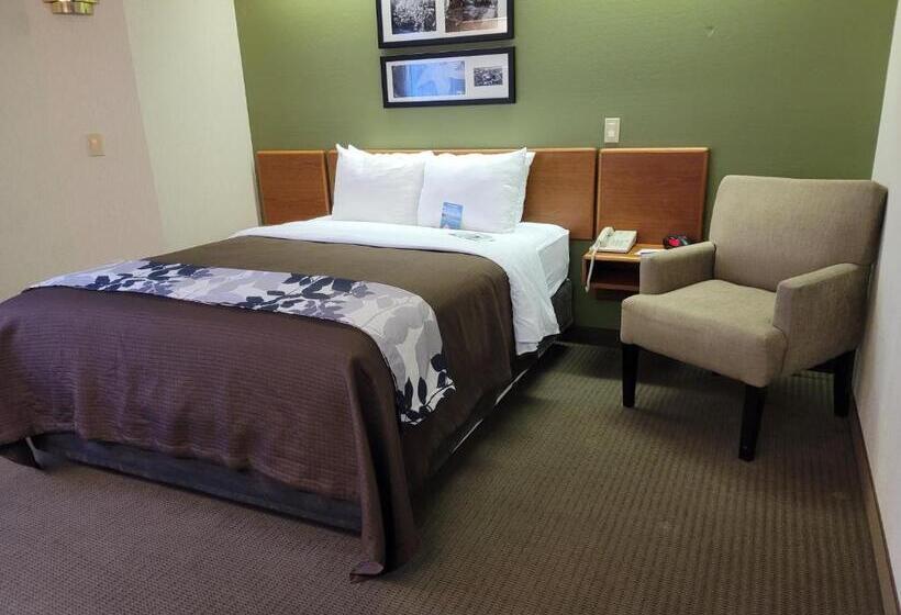 غرفة قياسية لذوى الاحتياجات الخاصة, Sleep Inn & Suites Bay View Acme   Traverse City