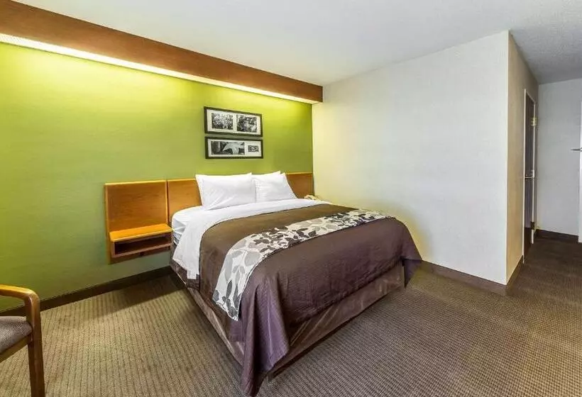 身障者適用スタンダードルーム, Sleep Inn & Suites Bay View Acme   Traverse City