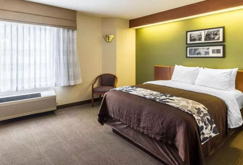 身障者適用スタンダードルーム, Sleep Inn & Suites Bay View Acme   Traverse City