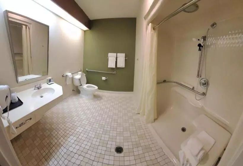 身障者適用スタンダードルーム, Sleep Inn & Suites Bay View Acme   Traverse City