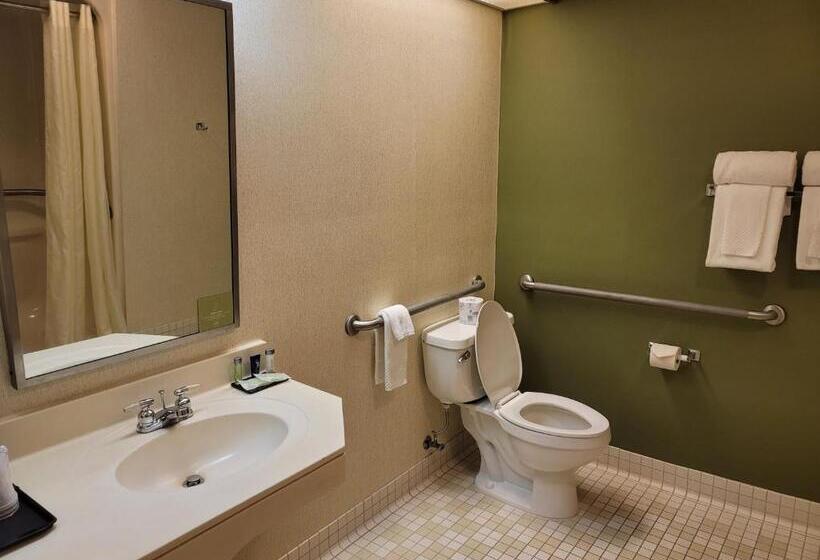 غرفة قياسية لذوى الاحتياجات الخاصة, Sleep Inn & Suites Bay View Acme   Traverse City