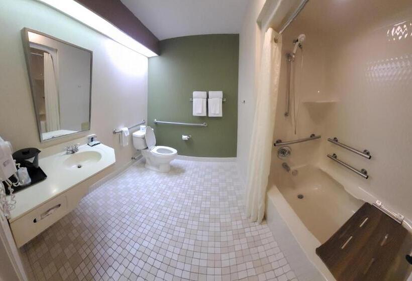 장애인을 위한 스탠다드 룸, Sleep Inn & Suites Bay View Acme   Traverse City