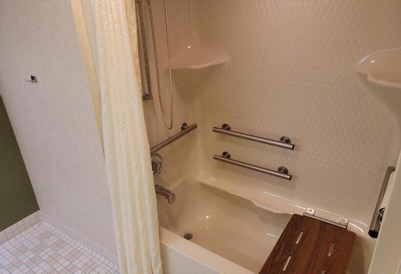 غرفة قياسية لذوى الاحتياجات الخاصة, Sleep Inn & Suites Bay View Acme   Traverse City