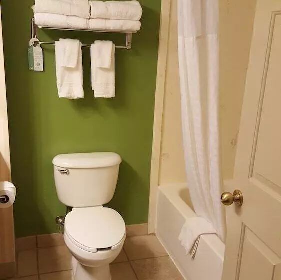Sviitti, Sleep Inn & Suites Stony Creek  Petersburg South