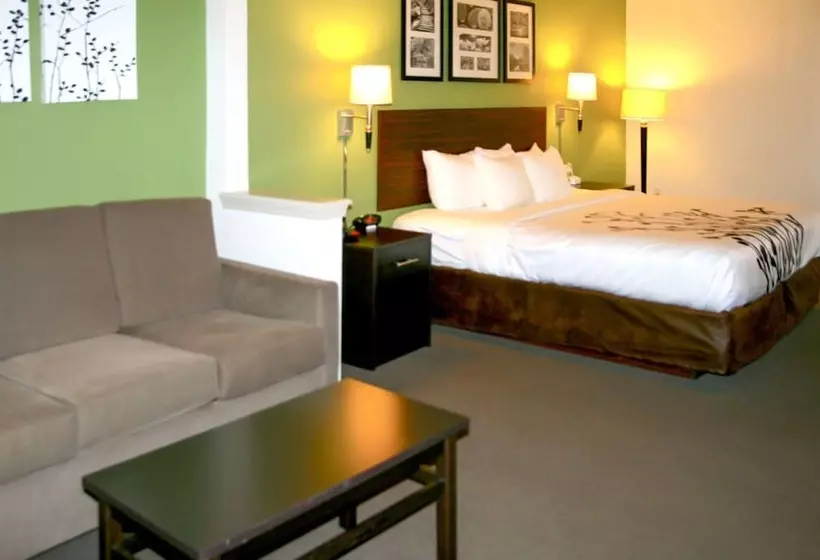 Sviitti Liikuntarajoitteisille, Sleep Inn & Suites Stony Creek  Petersburg South