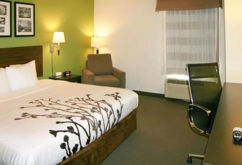 Standard-huone King-vuode, Sleep Inn & Suites Stony Creek  Petersburg South