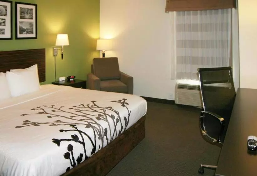 Standard-huone King-vuode, Sleep Inn & Suites Stony Creek  Petersburg South