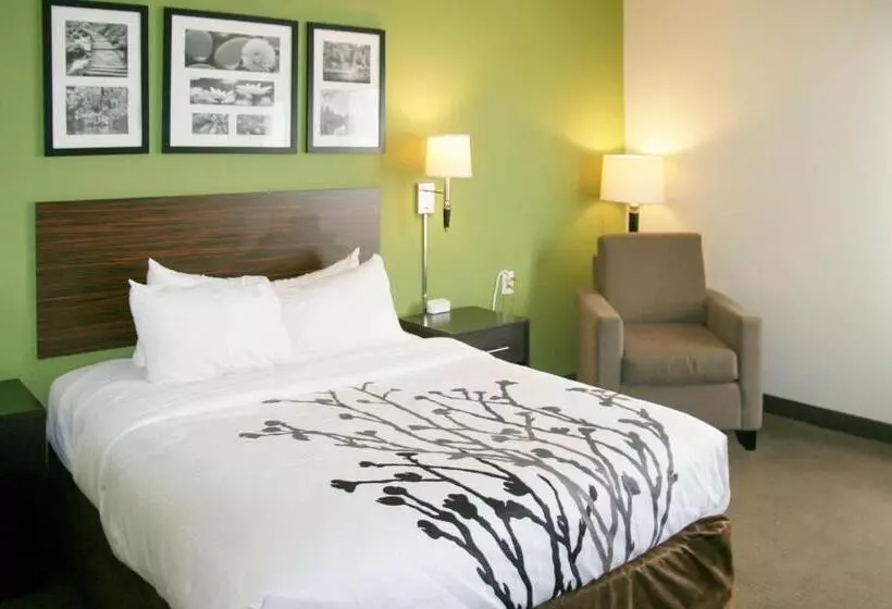 Standard-huone King-vuode, Sleep Inn & Suites Stony Creek  Petersburg South