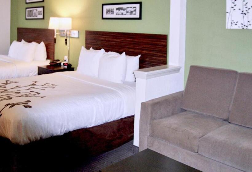 غرفة قياسية, Sleep Inn & Suites Stony Creek  Petersburg South