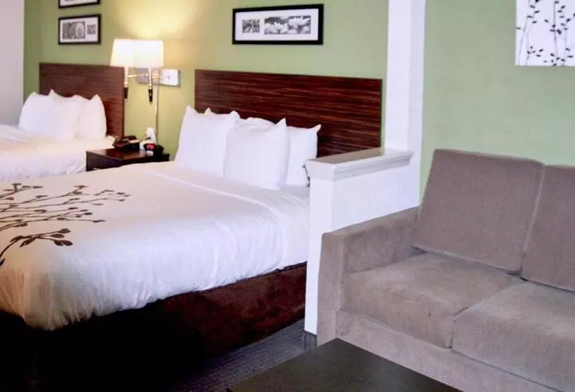 Standard-huone, Sleep Inn & Suites Stony Creek  Petersburg South