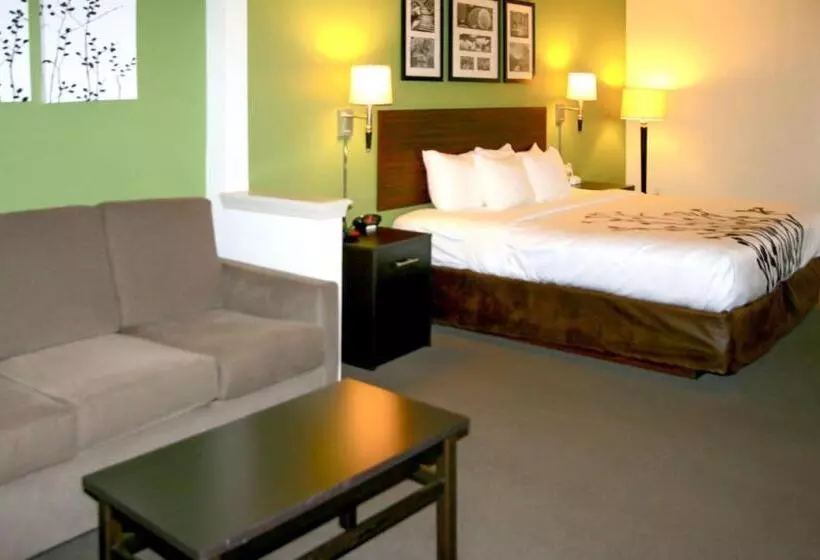 Sviitti King-vuode, Sleep Inn & Suites Stony Creek  Petersburg South