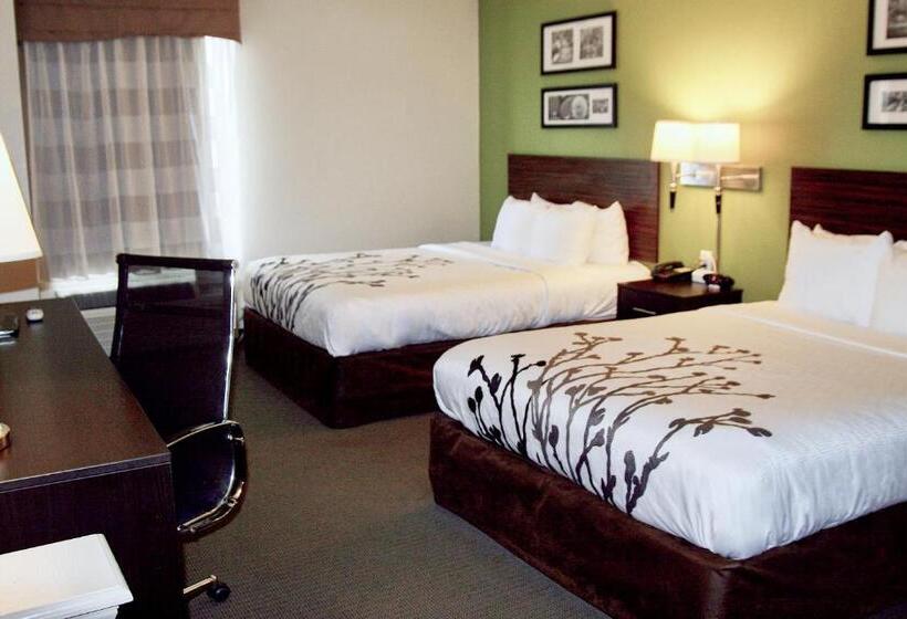 غرفة قياسية لذوى الاحتياجات الخاصة, Sleep Inn & Suites Stony Creek  Petersburg South