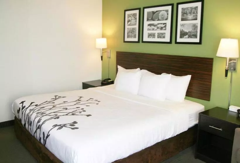 Sviitti Liikuntarajoitteisille, Sleep Inn & Suites Stony Creek  Petersburg South