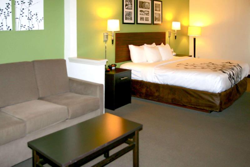 장애인을 위한 스위트, Sleep Inn & Suites Stony Creek  Petersburg South