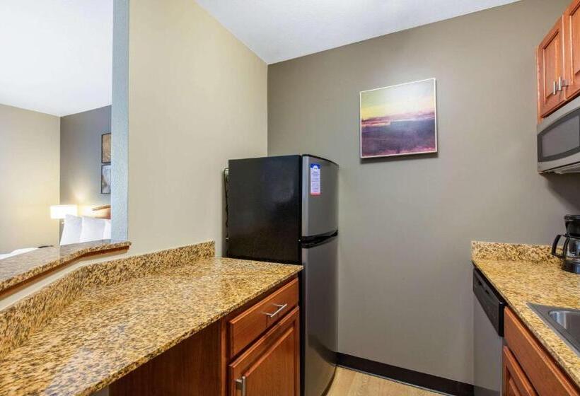 장애인을 위한 퀸사이즈 스탠다드 룸, Suburban Studios Birmingham Homewood I65