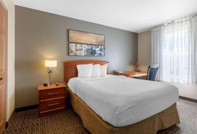 장애인을 위한 스위트, Suburban Studios Birmingham Homewood I65