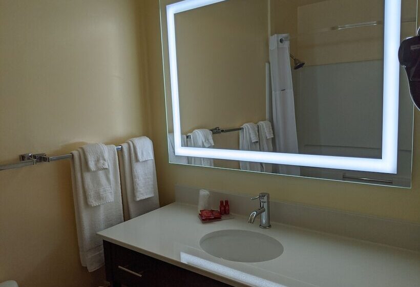 스탠다드 룸 더블 침대, Surestay Hotel By Best Western Portland City Center
