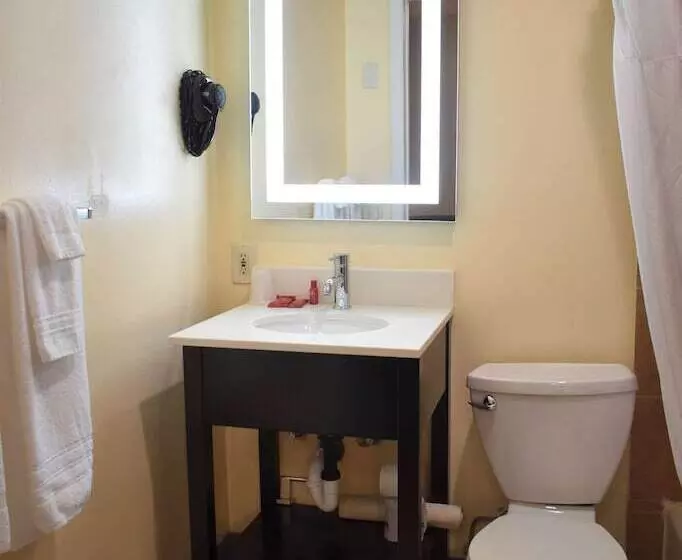 اتاق استاندارد برای معلولان, Surestay Hotel By Best Western Portland City Center