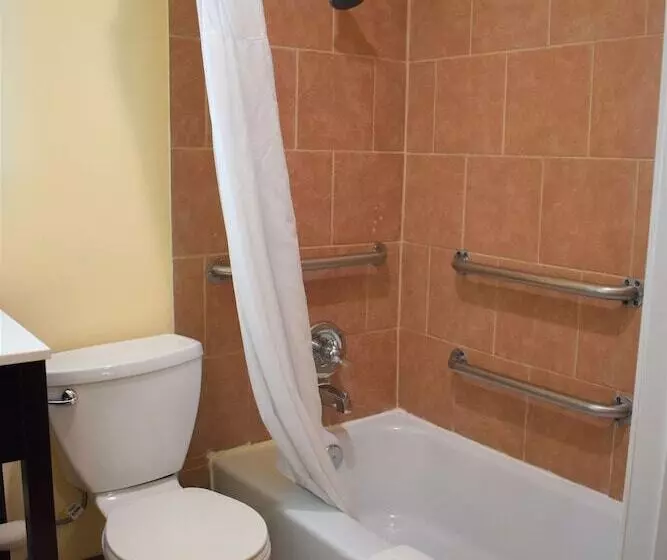 اتاق استاندارد برای معلولان, Surestay Hotel By Best Western Portland City Center