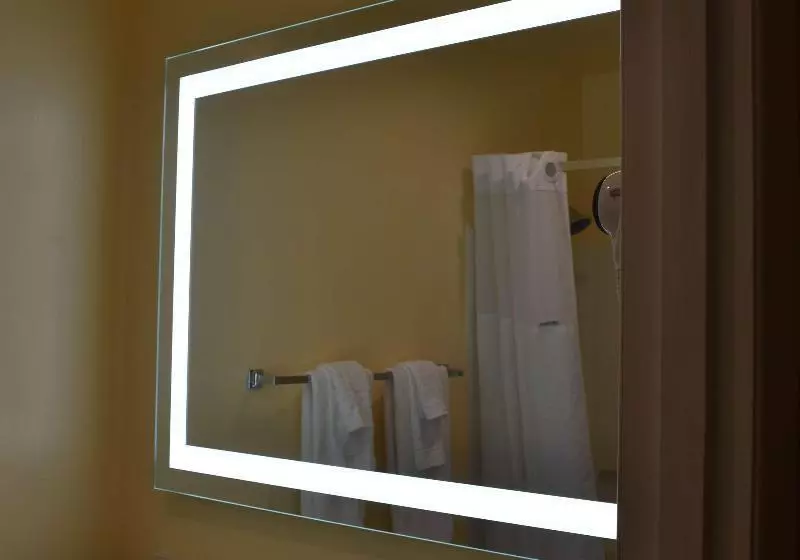 اتاق استاندارد با تخت بزرگ, Surestay Hotel By Best Western Portland City Center