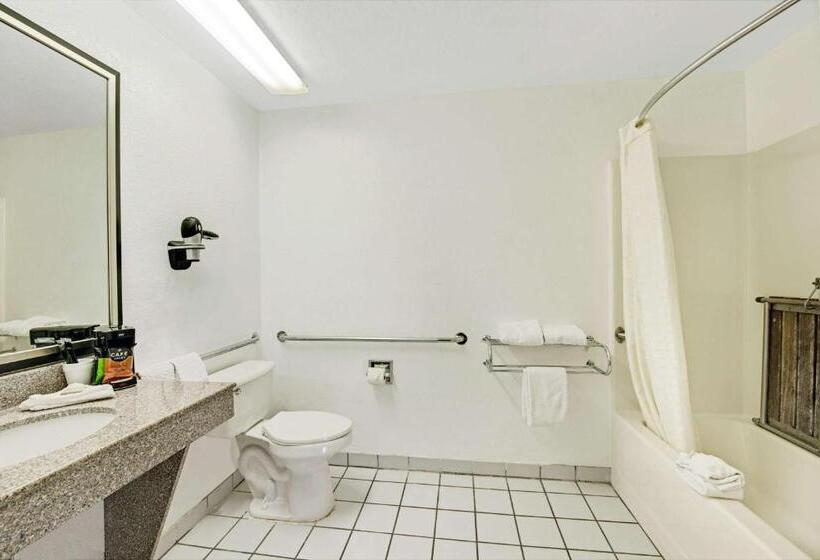 חדר סטנדרט, מיטת קינג, מותאם לאדם עם מוגבלויות, Surestay Plus Hotel By Best Western San Antonio North 281 N