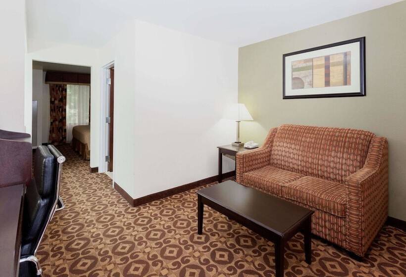 מיטת קינג בסוויטה, Super 8 By Wyndham Decatur/dntn/atlanta Area