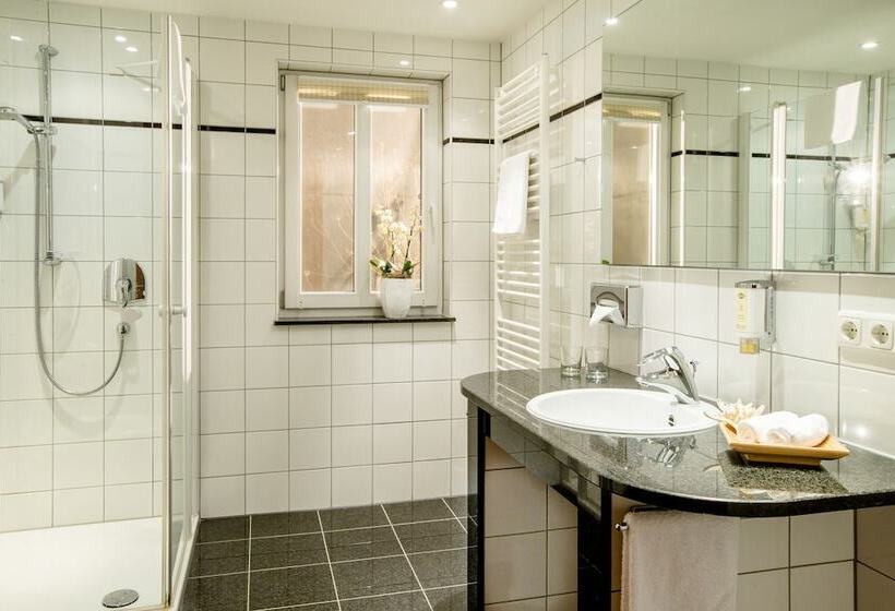 Номер Комфорт, Seehotel Niedernberg Das Dorf Am See