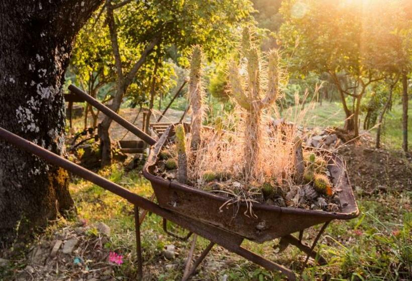 带1个卧室的公寓, Casale I Cirillo