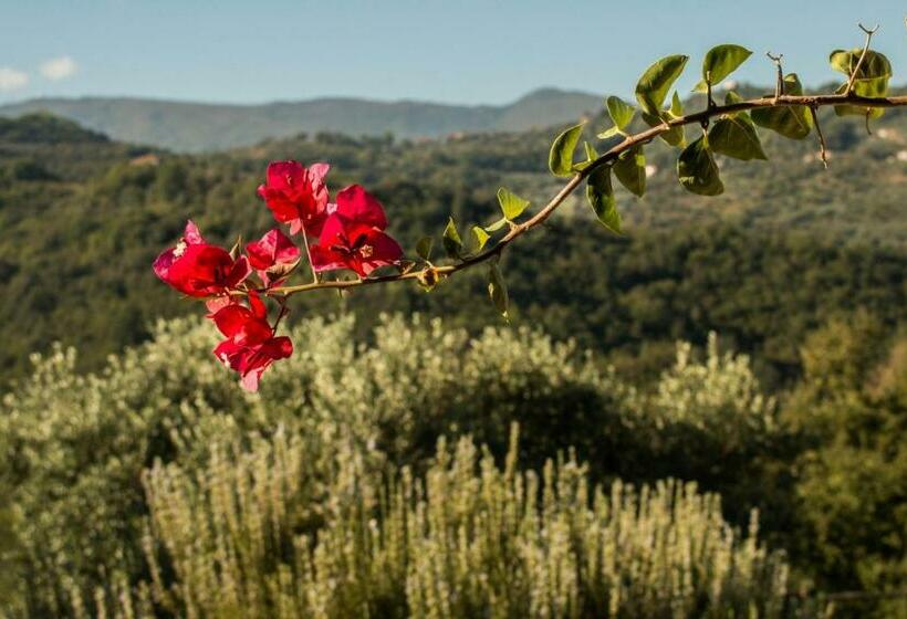 带1个卧室的公寓, Casale I Cirillo