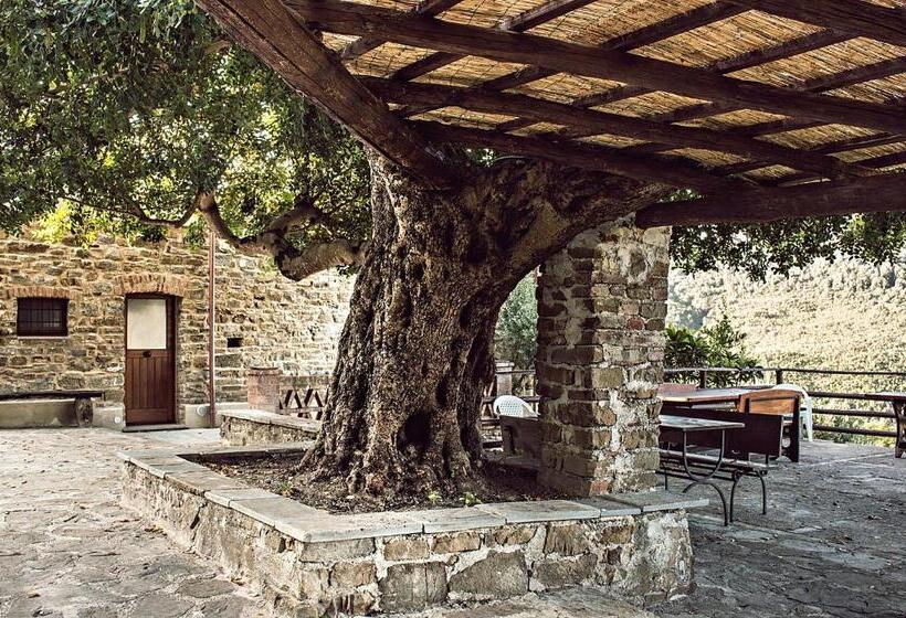 带1个卧室的公寓, Casale I Cirillo