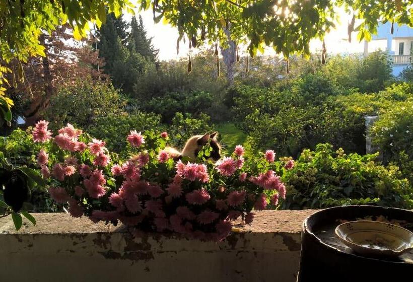 חדר סטנדרט, Casale Del Forno