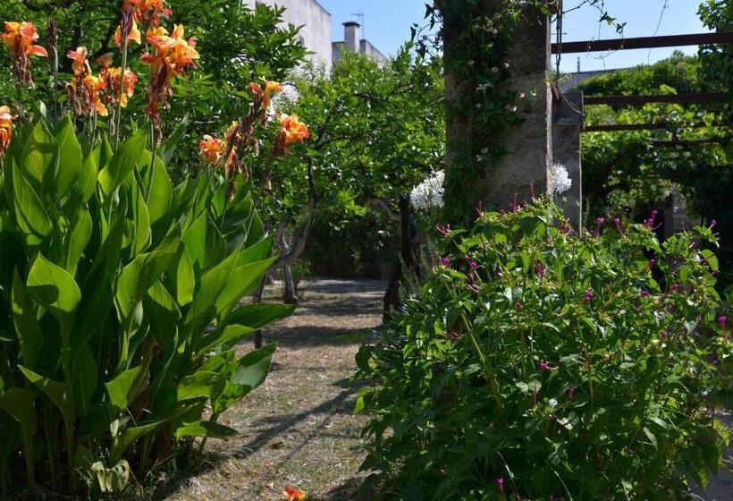 חדר סטנדרט, Casale Del Forno