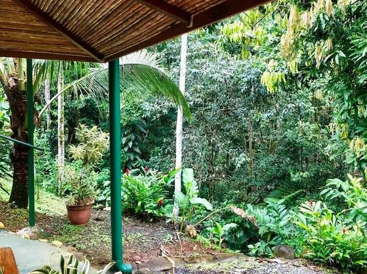 庭の見える１ベッドルームアパートメント, San Rafael Ecolodge