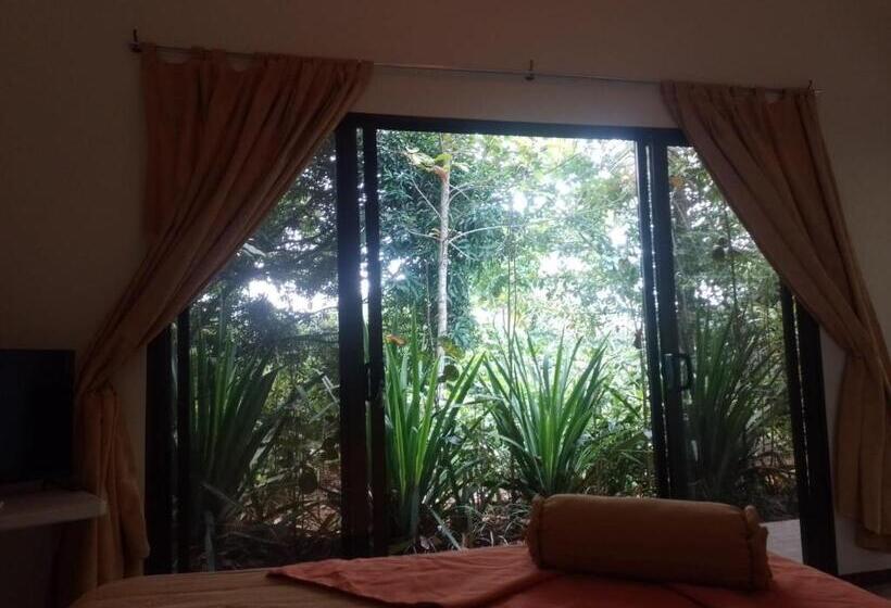 غرفة قياسية, San Rafael Ecolodge