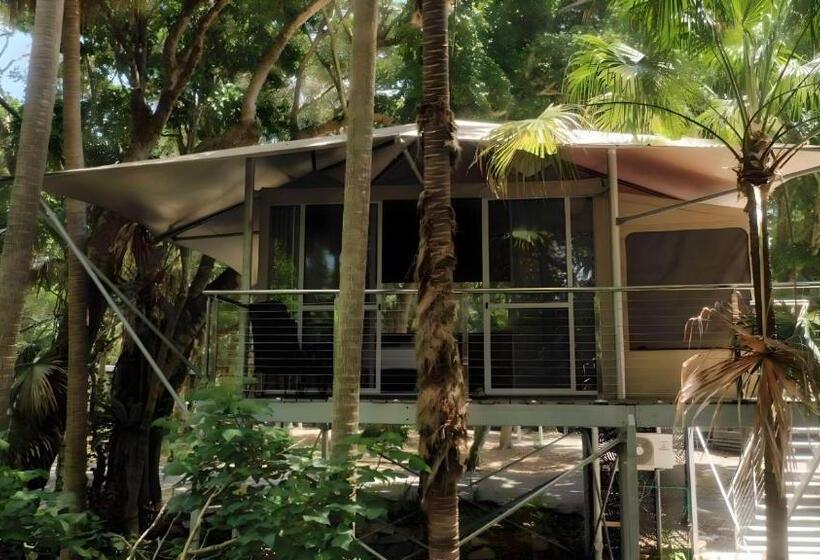 Standard Tent, Tiona Holiday Park