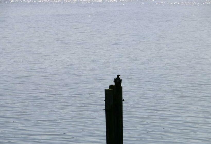 带阳台标准四人间, Nimpkish