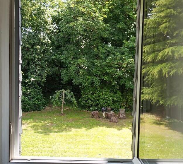 Номер Deluxe, Ailes Et Iles