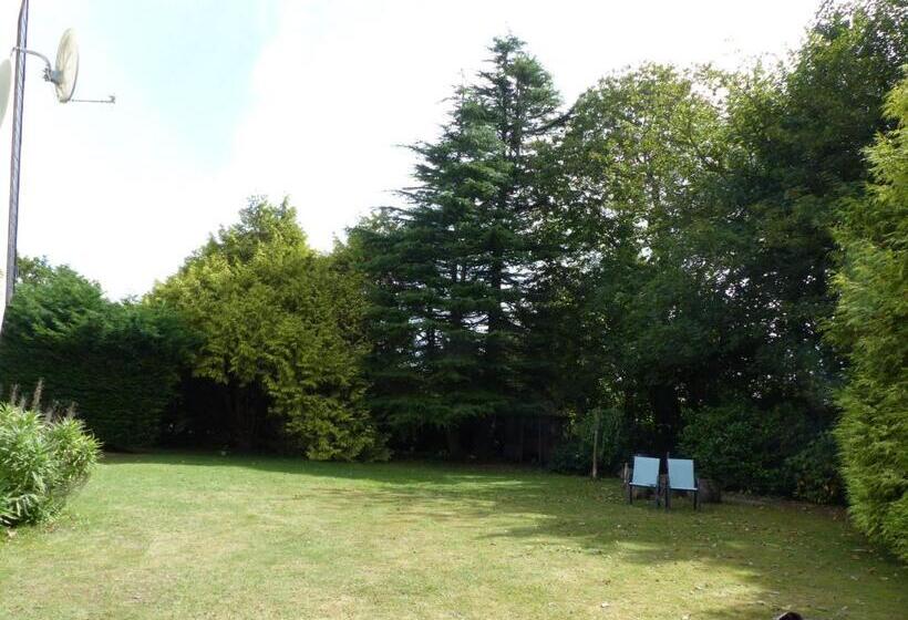 Номер Superior, Ailes Et Iles