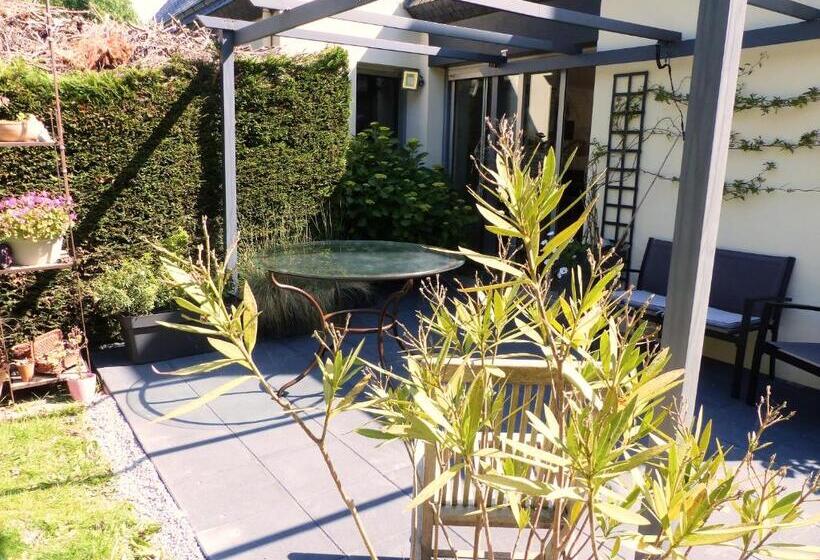 Номер Superior, Ailes Et Iles