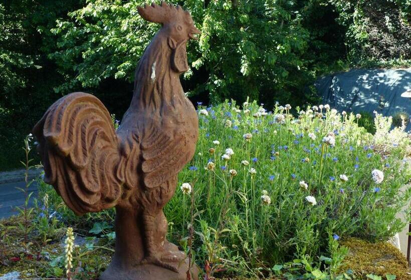 Номер Стандарт Вид на Сад, Ailes Et Iles